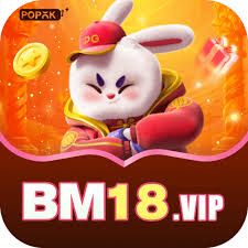 bm18 Premium Slots